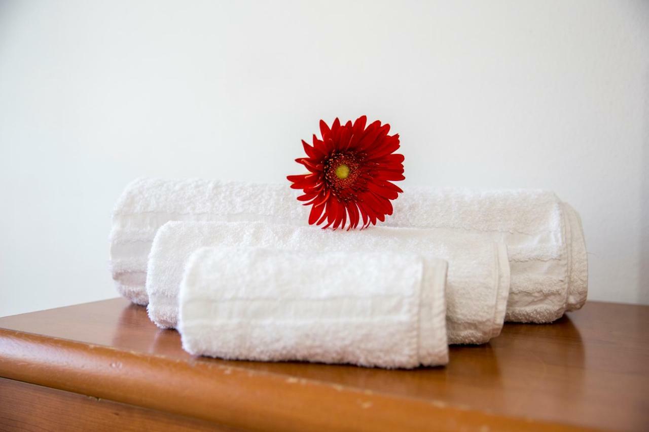 Le Terme Sotto Casa Διαμέρισμα Rapolano Terme Εξωτερικό φωτογραφία